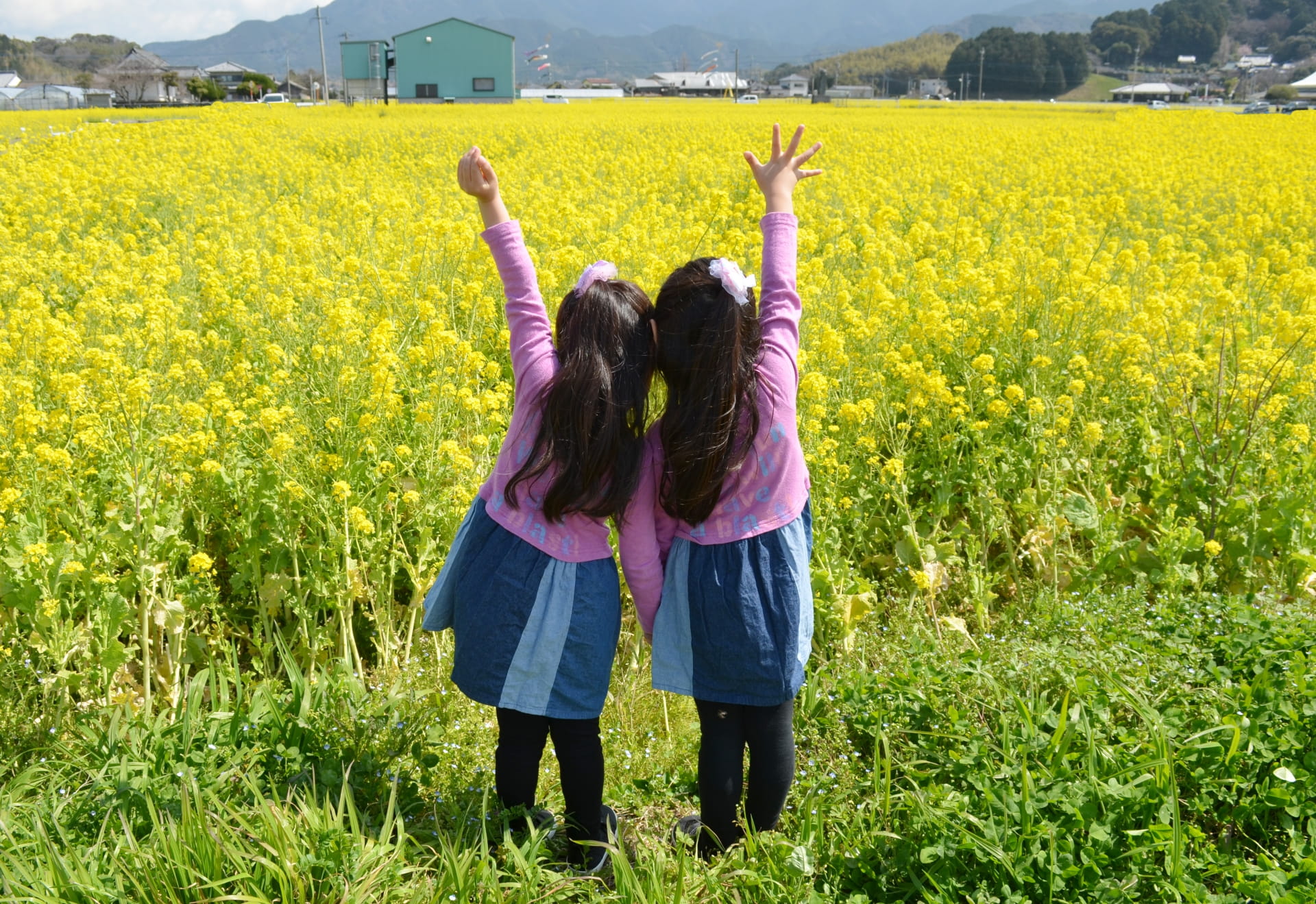 菜の花畑に女の子二人が寄り添って立つ写真