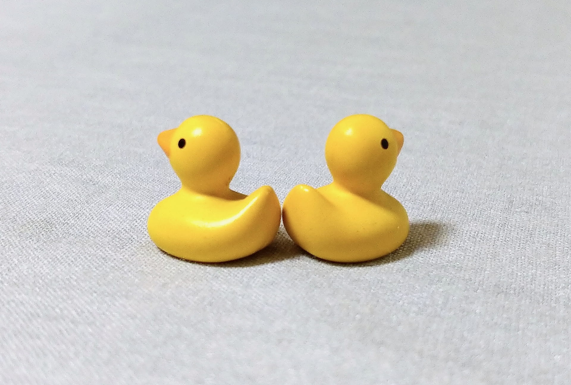 反対を向いたアヒルの人形の写真